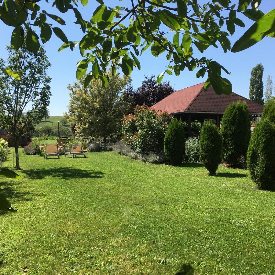 Domaine De La Mance - Maisonnette Avec Cheminee Vitrey-sur-Mance 외부 사진