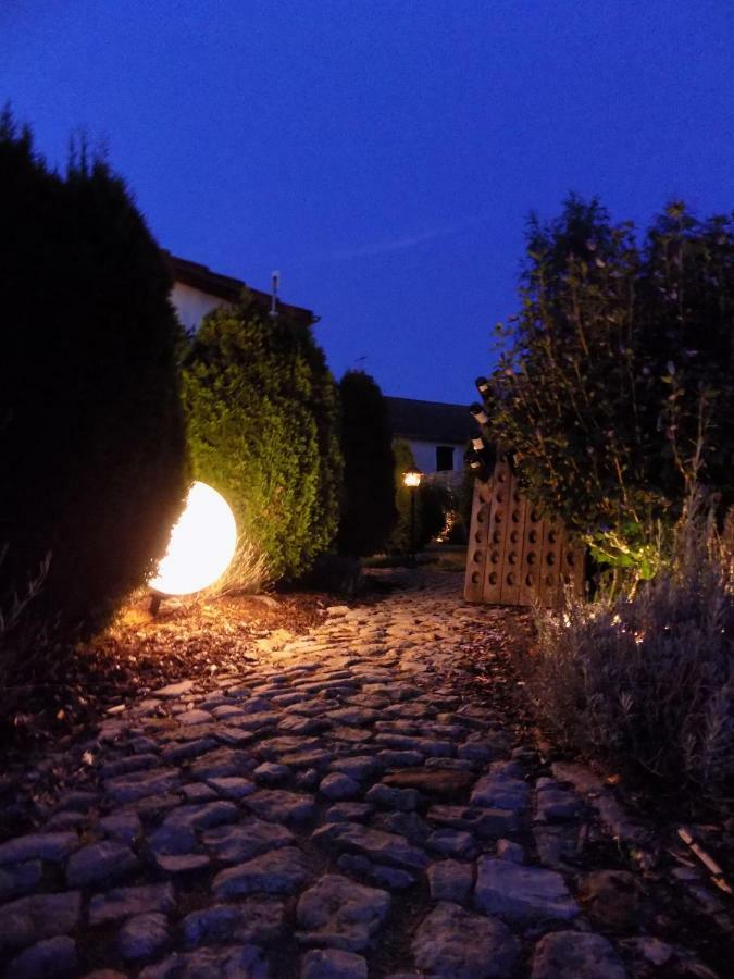 Domaine De La Mance - Maisonnette Avec Cheminee Vitrey-sur-Mance 외부 사진