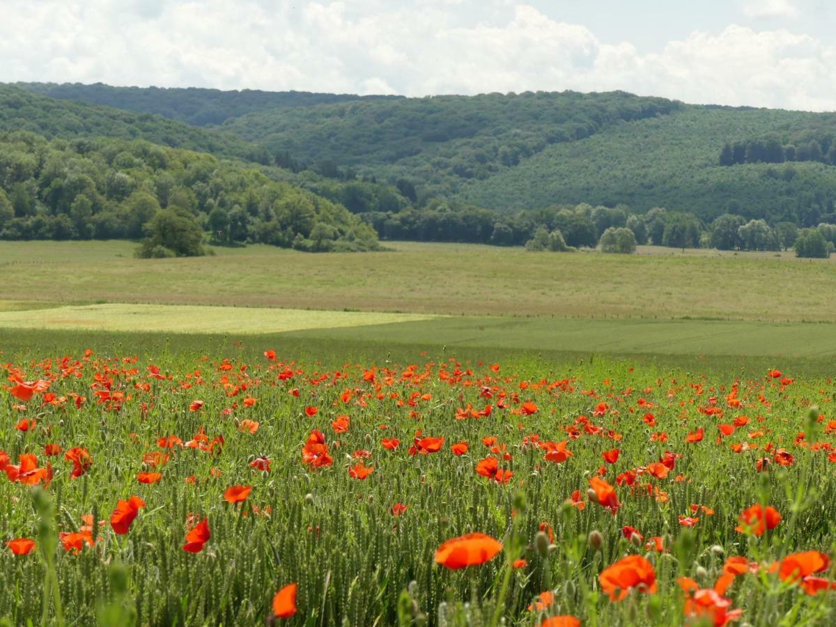 Domaine De La Mance - Maisonnette Avec Cheminee Vitrey-sur-Mance 외부 사진